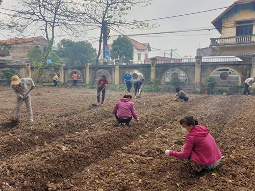 Thầy cô em trong những ngày Covid!